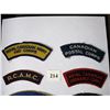 Image 2 : MILITARY SHOULDER FLASHES - 439 Fangs of Death Decal