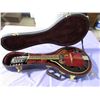 Image 1 : ELECTRIC MANDOLIN WITH LOCKING CASE (HAS KEYS) *TRADITION* (HAS CHORD BOOK, PICKS)