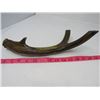 Image 2 : LOT INCLUDING DEER HORN, METRIC CONVERTOR, COURTER AND VEGAS TAG