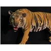Image 2 : HAND PAINTED LIFE SIZE FIBREGLASS TIGER SCULPTURE, APPROX. 7' 2" LONG