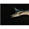 Image 2 : HAND PAINTED LIFE SIZE MARLIN SCULPTURE, 9' 3" TIP TO TAIL