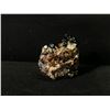 Image 2 : SPHALERITE SAMPLE, ELMWOOD MINE, CARTHAGE, TENNESSEE, APPROX. 258 GRAMS