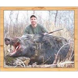 REDMAN WILD BOAR ADVENTURES: Battleford, Saskatchewan