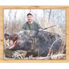 Image 1 : REDMAN WILD BOAR ADVENTURES: Battleford, Saskatchewan