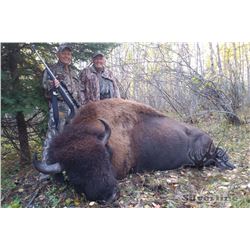 SILVERTINE WILDLIFE CO.: Rapid View, Saskatchewan