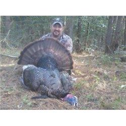 WILLIAMSON OUTFITTERS: Maryland, USA