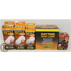 BOX OF ASSORTED REPTILE BULBS