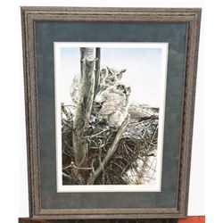 PROFESSIONALLY FRAMED "FULL HOUSE" BY DARREN HALEY