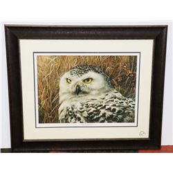 AUTHENTIC DUCKS UNLIMITED PROFESSIONALY FRAMED