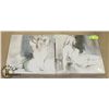 Image 1 : PAIR OF SHOWHOME CANVAS PICTURES