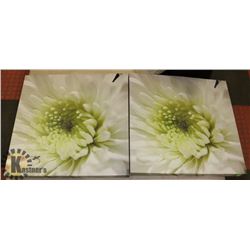PAIR OF SHOWHOME CANVAS PICTURES ON CHOICE