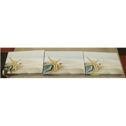 SET OF 3 SHOWHOME CANVAS SEASHELL PICTURES