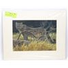 Image 1 : ROBERT BATEMAN  2007 PRINT - COUGAR AT KIKOMUN.