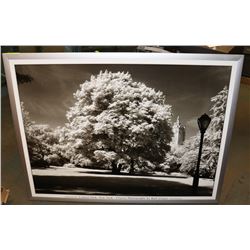 CENTRAL PARK NEW YORK CLASSIC PHOTOGRAPHY BY