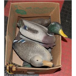 4 HUNTING DECOYS-MALLARD DRAKE & CARRYLITE
