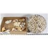 Image 1 : DOME SHELLS & LOOSE SEA SHELLS.