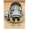 Image 5 : REXROTH B15381880 DRIVE MOTOR