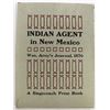 Image 1 : Indian Agent William F. M. Arny's Journal, 1870