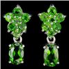 Image 1 : NATURAL GREEN CHROME DIOPSIDE Earrings