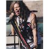 Image 1 : Steven Tyler Signed 11x14 Photo (PSA Hologram)