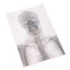 Image 1 : Timeless (TV) – Marie Curie’s World War I Field Hospital X-Ray – TL116