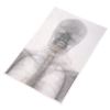 Image 2 : Timeless (TV) – Marie Curie’s World War I Field Hospital X-Ray – TL116