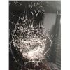 Image 2 : Jexi Phil (Adam Devine) Shattered Jexi Phone Movie Props