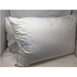 Set of Two Temperpedic Pillows-Standard/Queen