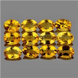 Natural Golden Yellow Citrine 12 Pcs {Flawless-VVS1}