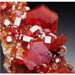 Natural VANADINITE Crystals on Matrix - MOROCCO