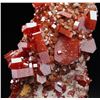Image 3 : Natural VANADINITE Crystals on Matrix - MOROCCO