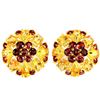 Image 1 : NATURAL MULTI COLOR CITRINE & GARNET Earrings