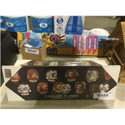 Calgary Flames Mini Plaques