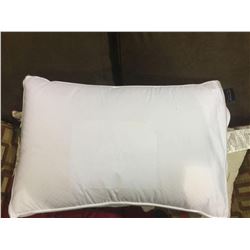 Dream Zone Standard Size Pillow