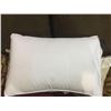 Image 1 : Dream Zone Standard Size Pillow