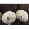 Image 1 : Cozy Shop Decorative Pillow Lot of 2