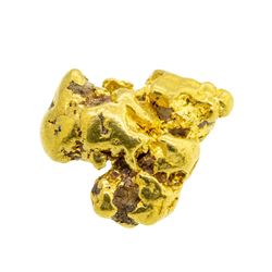 9.0 Gram Gold Nugget