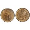 Image 1 : USA (Philadelphia mint), Indian Head cent, 1894, PCGS MS65 RB.