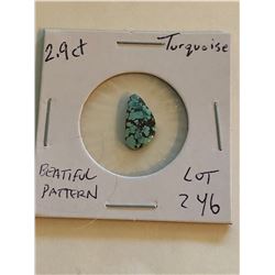 Turquiose 2.90 carat Beautiful Pattern Gem Quality Gemstone