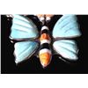 Image 9 : Navajo Opal & Turquoise Inlaid Butterfly Necklace