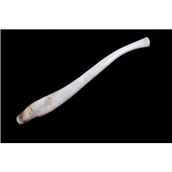 Eskimo Native American Indian Inuit Walrus Oosik