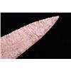 Image 5 : Archaic Texas Plainview Point c. 10000-9000 BP