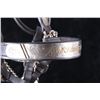 Image 11 : Silver and Gold Overlay Show Halter & Lead