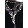 Image 13 : Silver and Gold Overlay Show Halter & Lead