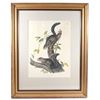 Image 1 : 1847 John Audubon Life Size Squirrel Lithograph