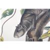 Image 4 : 1847 John Audubon Life Size Squirrel Lithograph