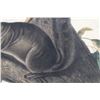 Image 9 : 1847 John Audubon Life Size Squirrel Lithograph