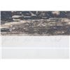 Image 10 : Red Man's West Framed Etching by Wolf Pogzeba