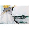 Image 10 : Original Framed Kevin Red Star Buffalo Tipi Print
