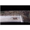Image 11 : M.T. Knives Blacksmith Hammered D2 Knife